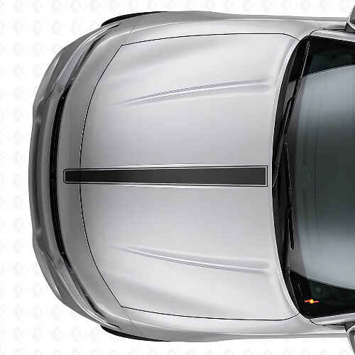 Thin Outline Hood Stripe Vinyl Decal for Dodge Charger_1