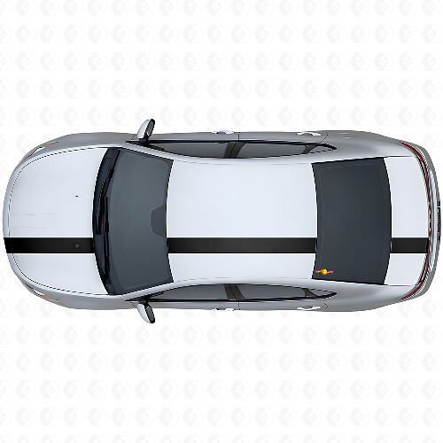 Racing Stripe Upper Side Vinyl Decal Kit for Dodge Dart 2013+