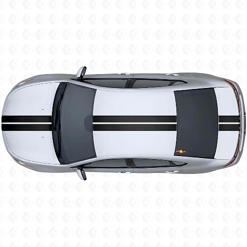 Double Center Outline Stripes Upper Side Vinyl Decal Kit for Dodge Dart 2013+