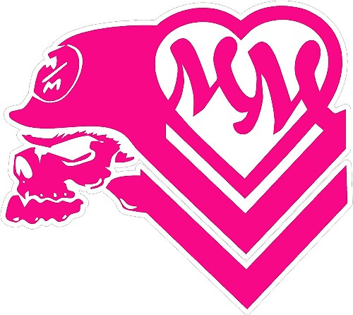 Metal Mulisha Style Skull Heart Vinyl Decal Set