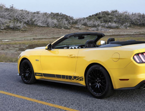 TEXT Accent Stripes Side Vinyl Decal Sticker for Ford Mustang