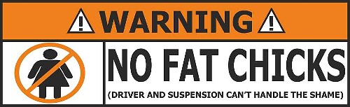 No Fat Chicks WARNING Vinyl Decals Funny Art 