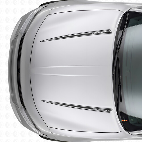 Dual Custom Outline Stripes Hood Vinyl Decal Sticker for Dodge Charger 2015-2026_1