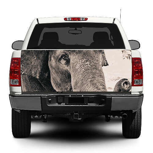Elephant Wild animal Africa Decal Sticker Wrap Pick-up Truck SUV Car
