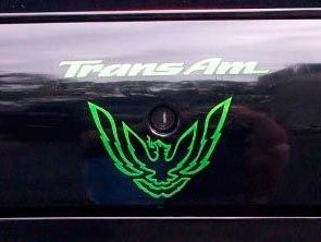 Trunk Lock Bird Decal Set for Pontiac Firebird Trans Am WS6