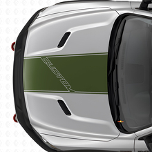 Custom Lettering Outline Hood Stripe Vinyl Decal for Dodge Ram _3