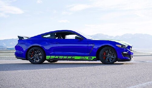 Racing Graphic Decal Multi Color for Ford Shelby GT350 GT550