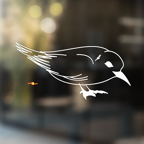Common Starling Universal Vinyl Decal Sticker_1