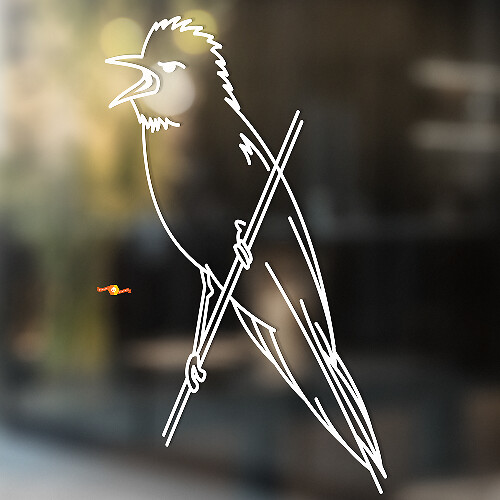 Steller's Jay Universal Vinyl Decal Sticker