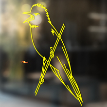 Steller's Jay Universal Vinyl Decal Sticker_4