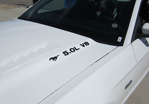 5.0 V8 With Pony Hood Decal Pair for Musclecar Musclecarmodel 2011-2020