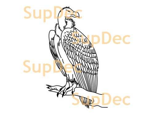 Eagle Vinyl Art Wall  Window Bathroom Sticker Decal removable #2