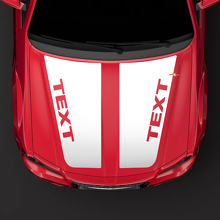 HEMI style hood Sticker Decal top blackout pre-cut for 2005-2010 Chrysler 300C SRT-8 2