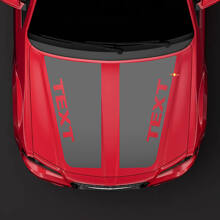 Blackout Custom Hood Stripes Vinyl Decal for Chrysler 300C SRT-8 2005-2010_3