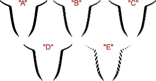 Hood Spear Accent Stripe Kit for Dodge Charger