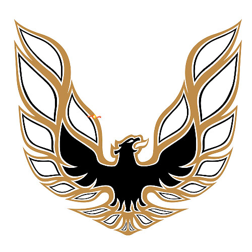 Firebird Hood Vinyl Decal Sticker For Pontiac 