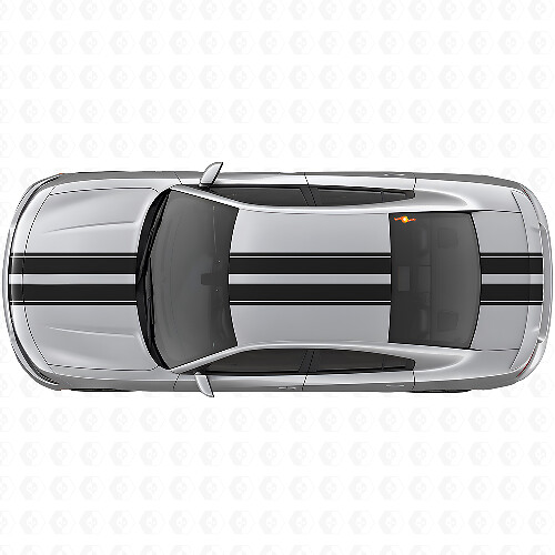Dual Racing Upper Body Stripes Vinyl Decal Kit for Dodge Charger 