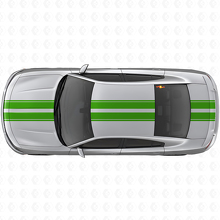Dual Racing Upper Body Stripes Vinyl Decal Kit for Dodge Charger _3