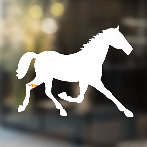 Horse Vinyl Art Wall  Window Bathroom Sticker Decal #3