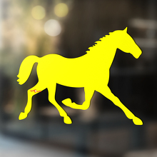 Horse Silhouette Universal Vinyl Decal Sticker_3