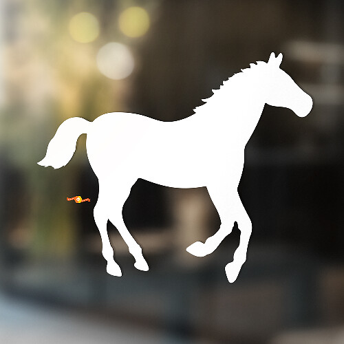 Horse Vinyl Art Wall  Window Bathroom Sticker Decal #5