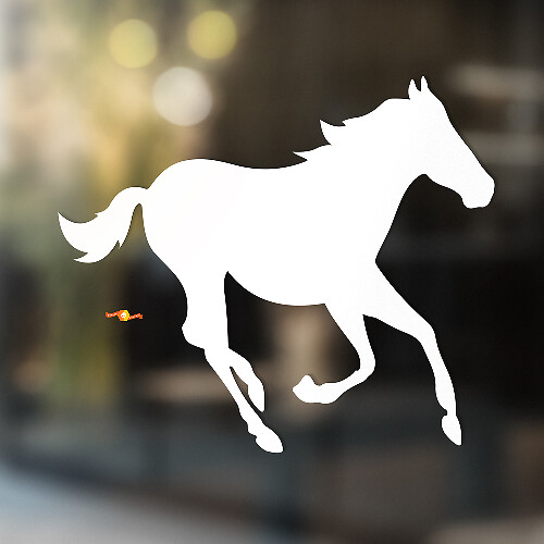 Horse Vinyl Art Wall  Window Bathroom Sticker Decal #7