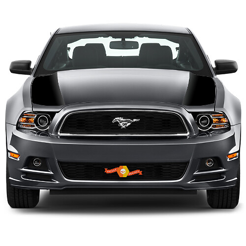 Hood Side Accent Stripes Vinyl Decals 2 for Ford Mustang 2013-2020