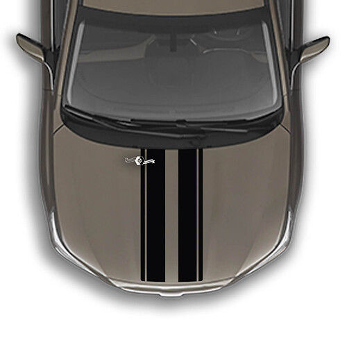 Dual Racing Hood Stripes Universal Size Decals Stickers