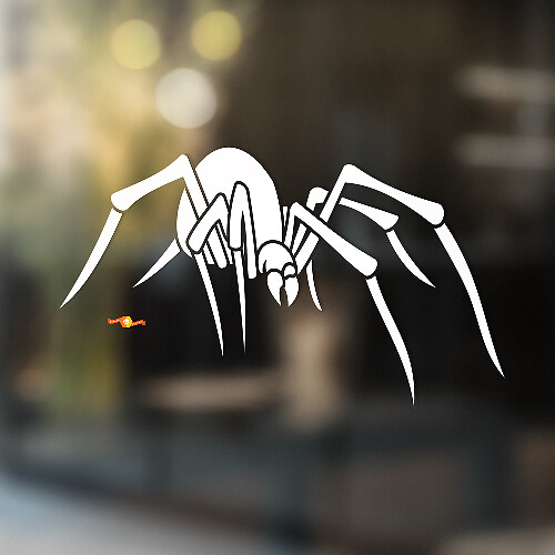 Spider Vinyl Wall  Window Bathroom Sticker Decal removable #10_1