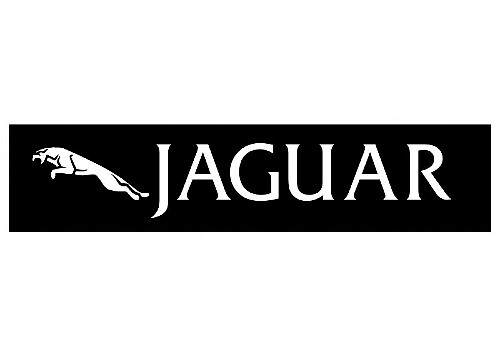 JAGUAR DECAL 2030 Self adhesive vinyl Sticker Decal
