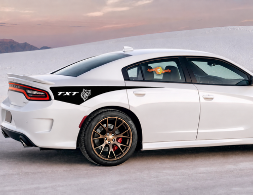 TXT Custom Cat Head Tapered Stripe Pair Rear Fender Vinyl Decal Sticker for Dodge Charger 2011-2020