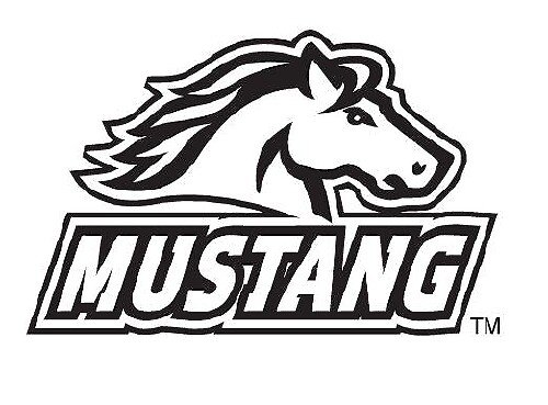 Momo Logo Decal Sticker#1