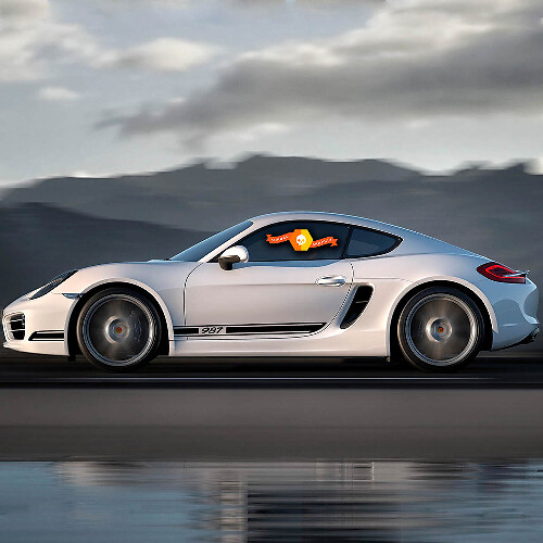 Porsche Kit Stickers Cayman Boxster 987 Endurance Racing Edition Side Stripes Kit Decal Sticker 