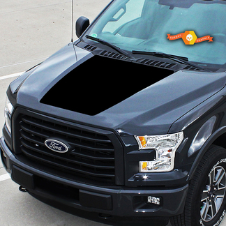2015-2018 FORD VINYL STICKERS GRAPHICS