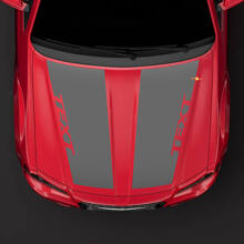 Double Custom Hood Stripes Vinyl Decal for Chrysler 300C 2014_3