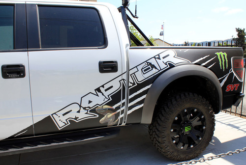 F-150 FORD RAPTOR SVT MONSTER Edition DIGITAL MUD SPLASH DECAL GRAPHICS DECALS STICKERS CHATTER