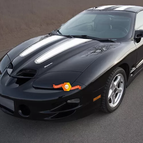 Firebird Decals - Classic & Custom Pontiac Firebird Stickers | SupDec ...