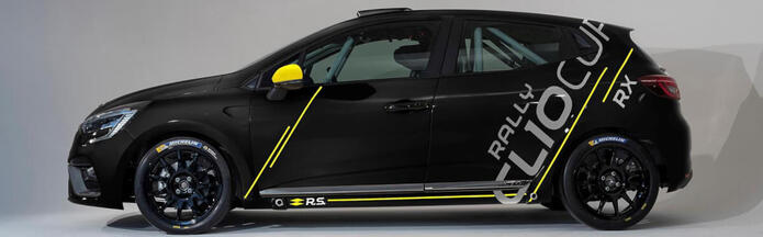 Article: Renault Aufkleber Aufkleber
